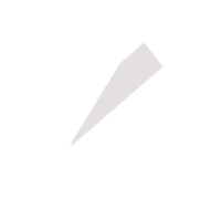 保定临时保镖服务